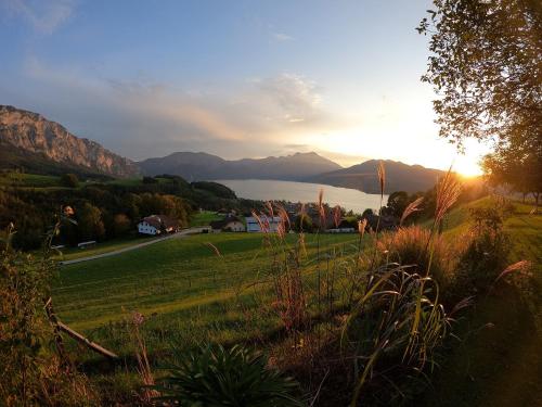 Biohof Schwanser — Steinbach Am Attersee — photo 3