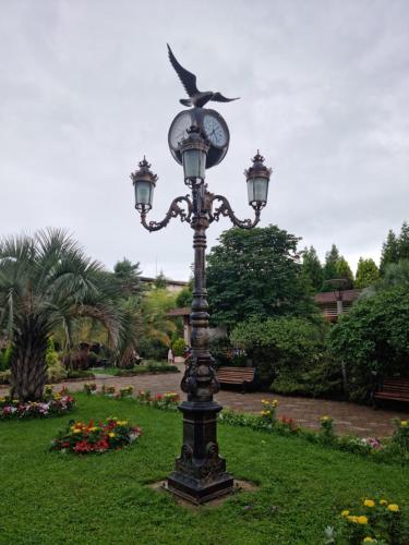 Dreamland Oasis Chakvi