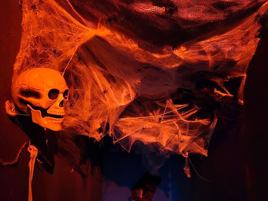 Scary Hostel