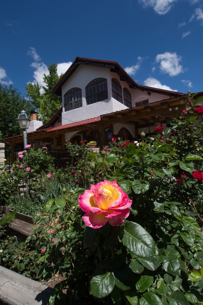 Red Horse Bed and Breakfast - photo 67