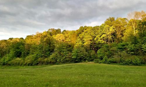 Altenbrauch Farm Camping In The Hocking Hills 17952355 — Mcarthur