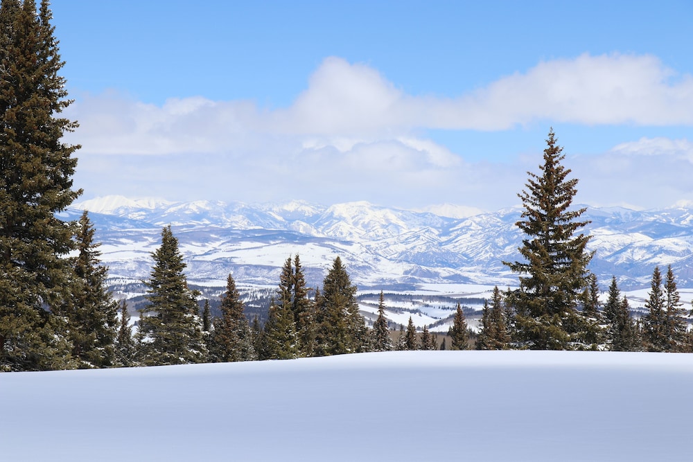 Arrowhead Mountain Lodge - photo 22