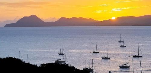 T2 Tout Confort Vue Panoramique — 4-Star Luxury Hotel in Sainte-Anne-Sur-Brivet, Martinique
