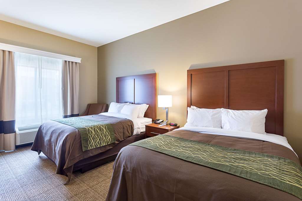 Comfort Inn & Suites Zachary - photo 11