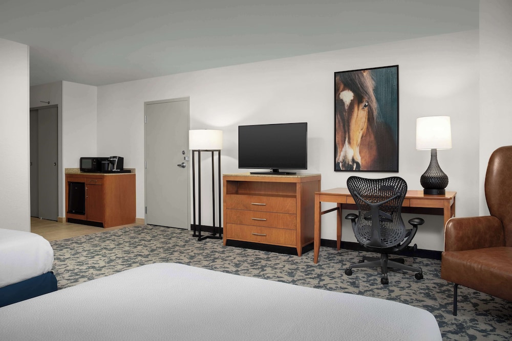 Hilton Garden Inn Fort Worth Medical Center - photo 13