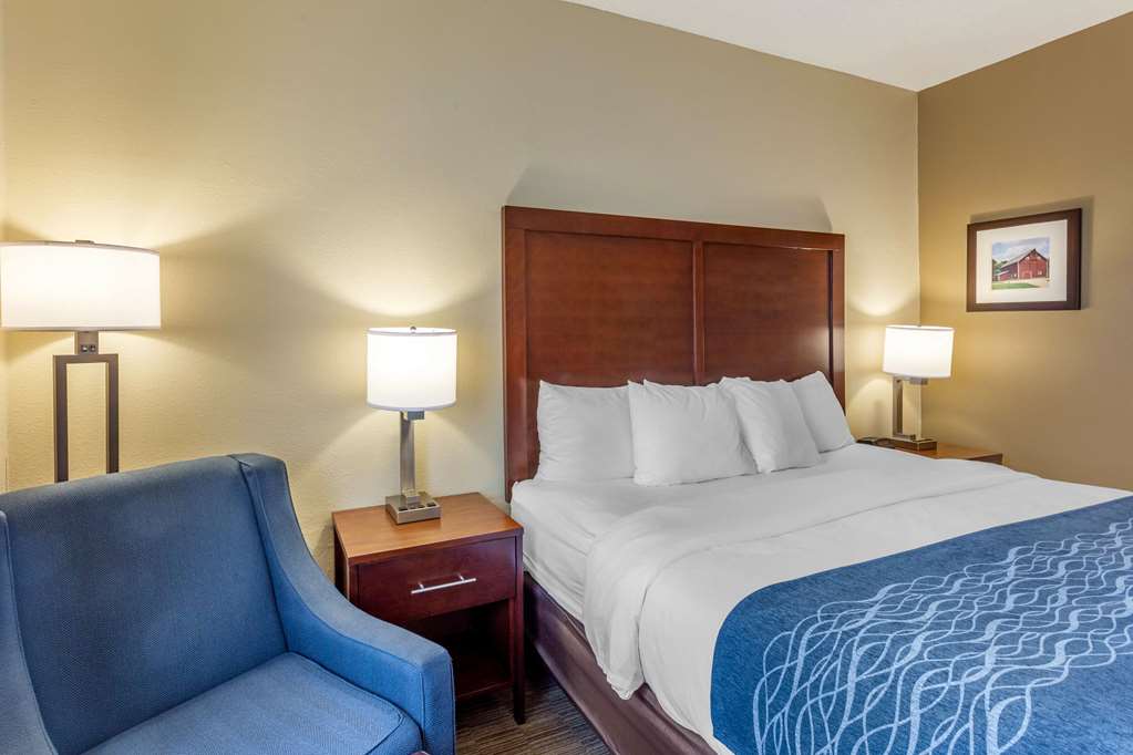 Comfort Inn Rockford near Casino District - photo 14