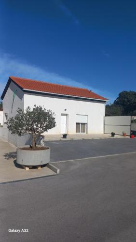 Monte dos Pastorinhos II in Fatima, Portugal