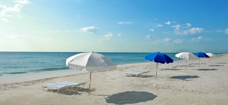 Miami Beach Resort & Spa - photo 3