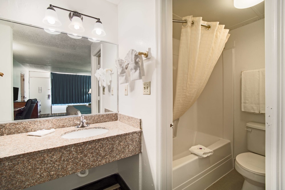 American INN of Orangeburg - photo 29