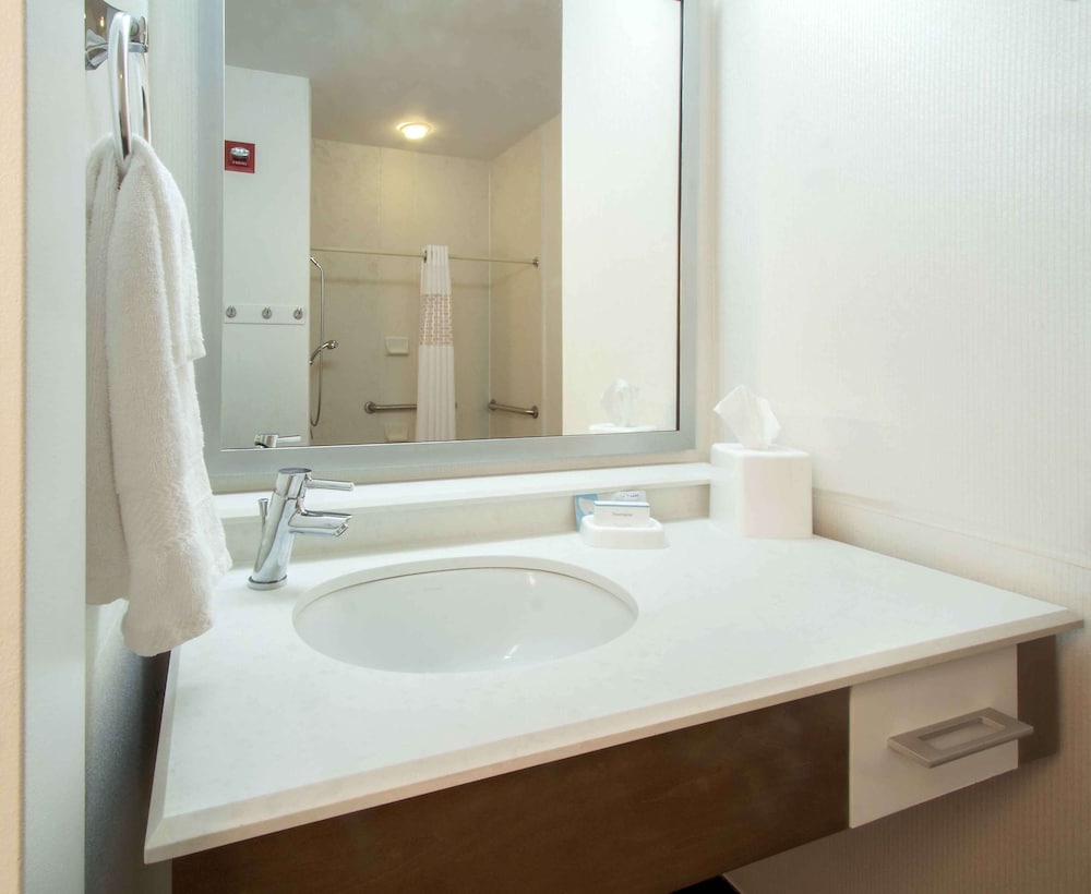 Hampton Inn South Haven - photo 24