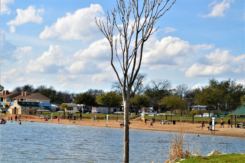 Lake View Inn - photo 34