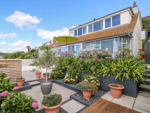 Rock Rose in Torpoint, United Kingdom