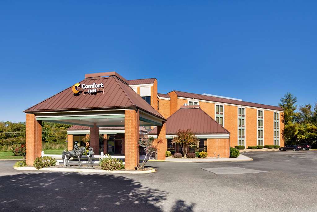Comfort Inn Virginia Horse Center - featured photo
