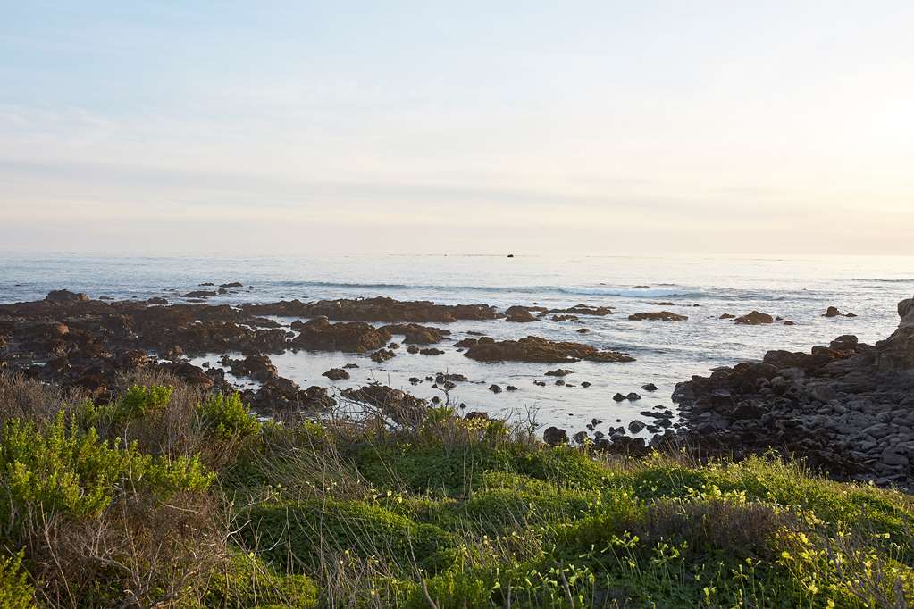 White Water - photo 4