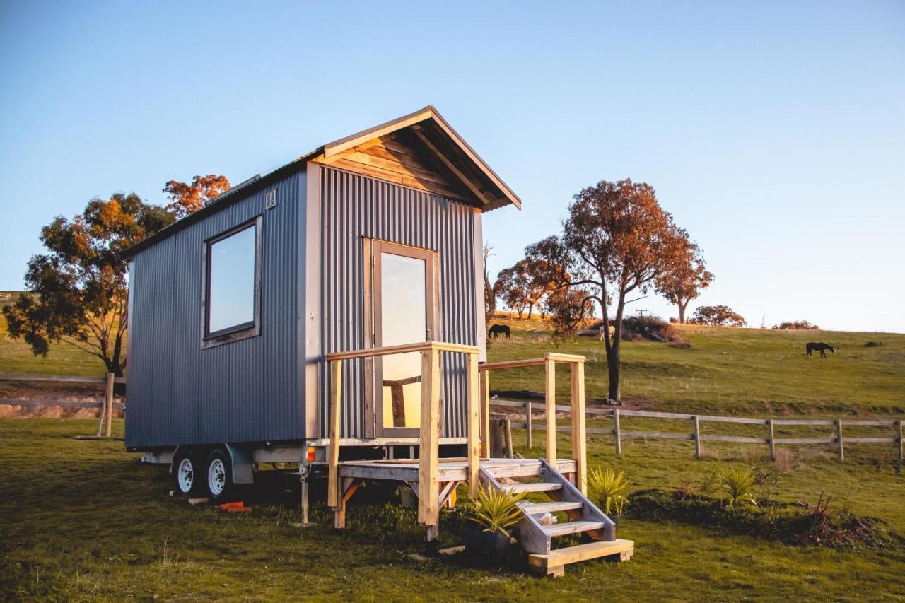 Saddle Country Escape by Tiny Away pet-friendly hotel Broadford