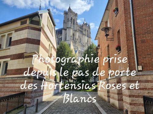 Les Hortensias Roses Duplex in Amiens, France