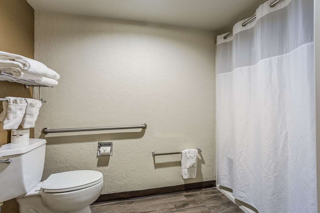 Quality Inn & Suites Meridian West Boise - photo 20