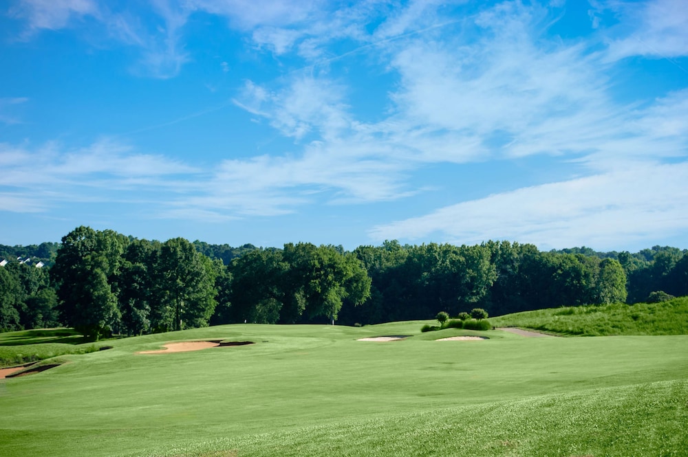 Embassy Suites by Hilton Charlotte Concord Golf Resort & Spa - photo 69