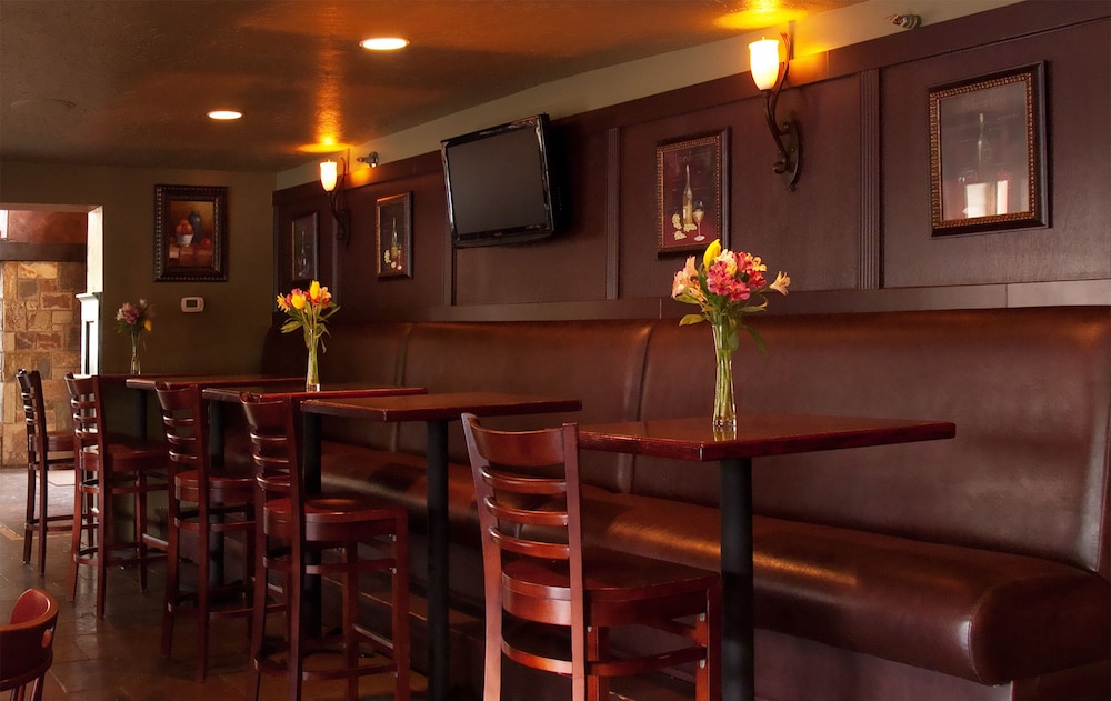 Silverton Inn & Suites - photo 31