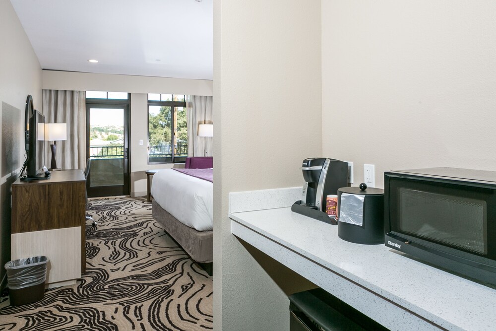 Hotel Siri Downtown Paso Robles - photo 13
