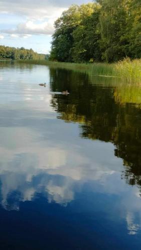 Oleandria Domek z kominkiem — Biskupiec — photo 5
