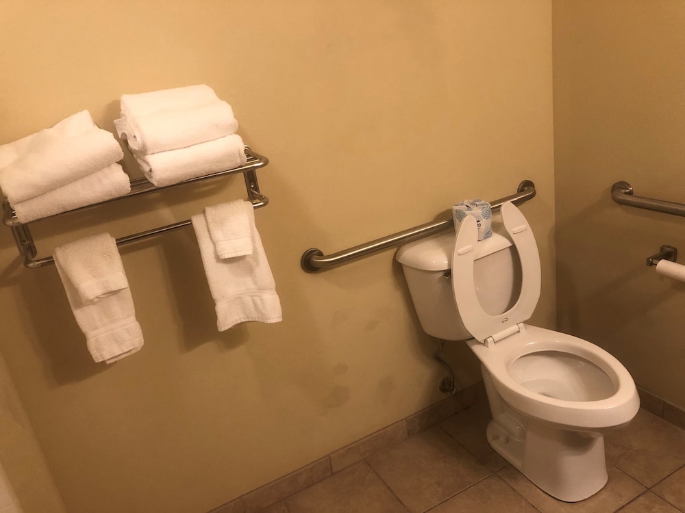 Cobblestone Inn & Suites Eads - photo 28