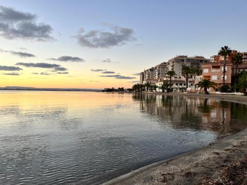 Los Cactus De Veneziola — La Manga Del Mar Menor