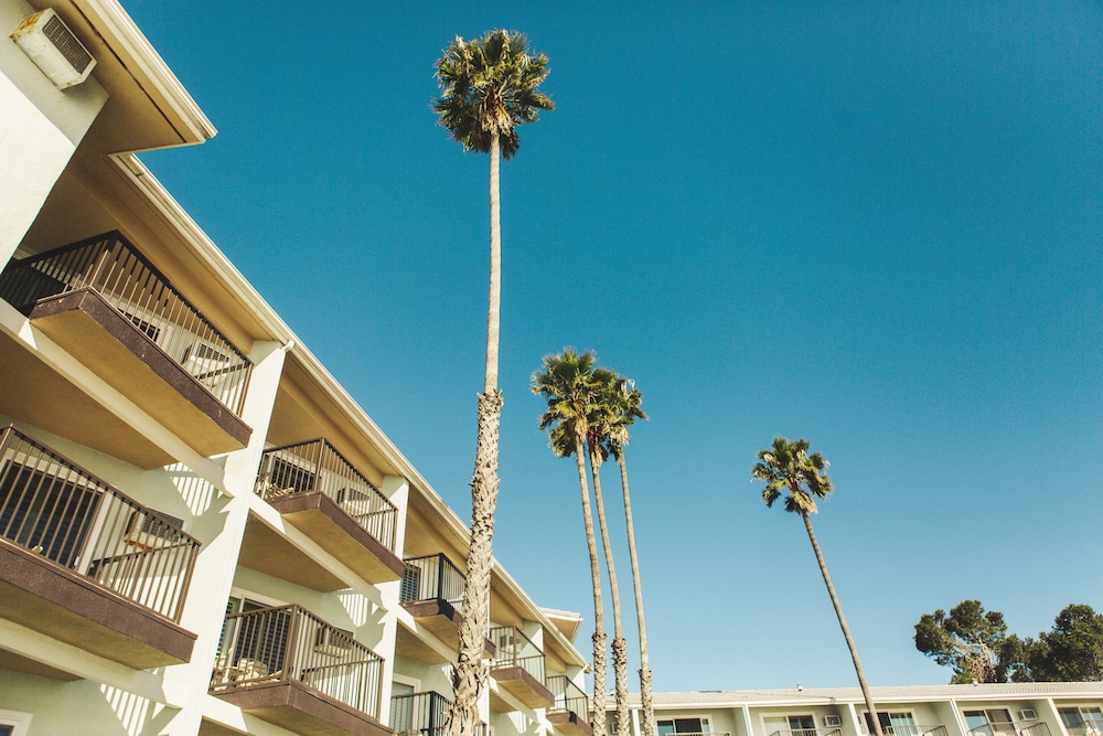 Shore Cliff Hotel - photo 51