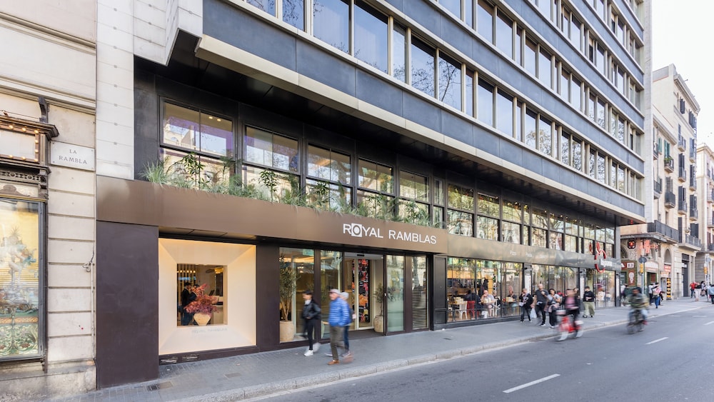 מראה חיצוני