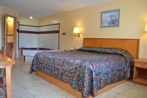 Deluxe Inn and Suites Weslaco - photo 26