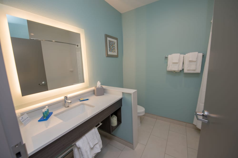 Holiday Inn Express & Suites Lake Charles South Casino Area by IHG - photo 56