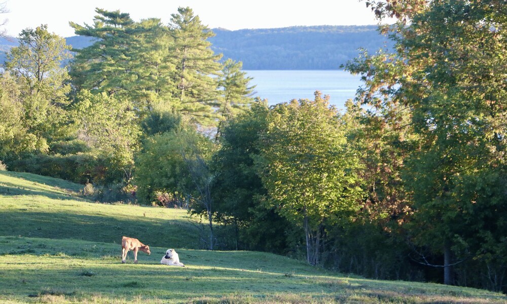 The Inn on Lake Champlain - photo 27