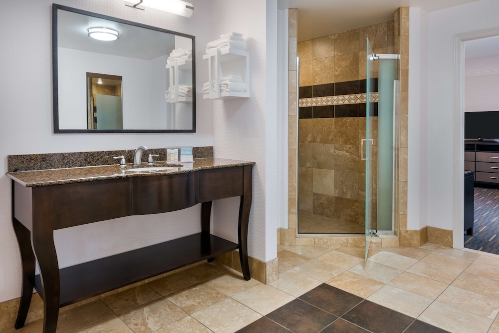 Hampton Inn & Suites Buffalo Downtown - photo 29