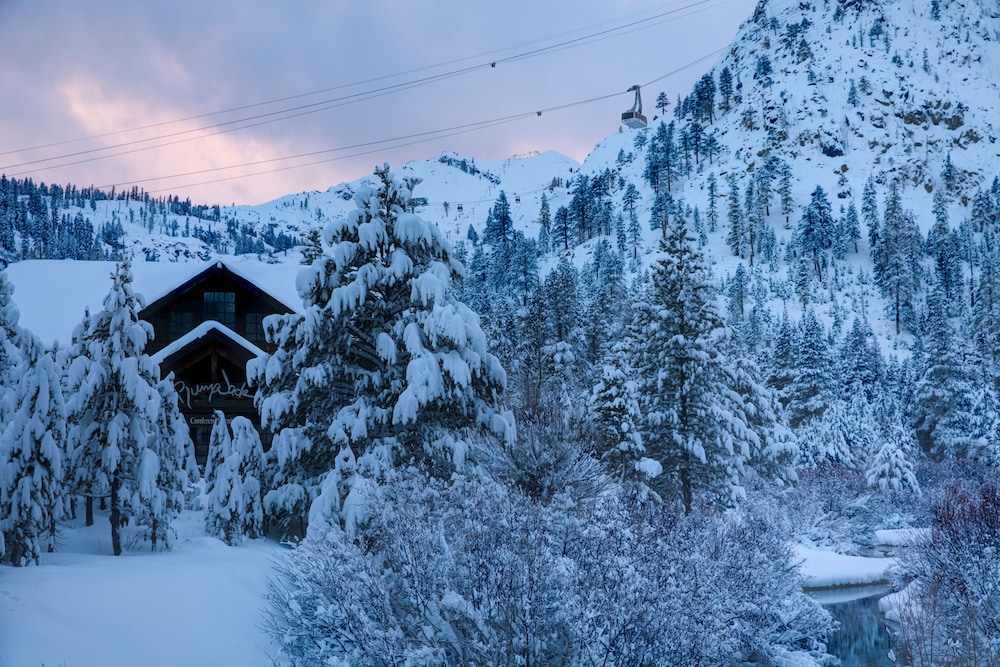 PlumpJack Inn - photo 2