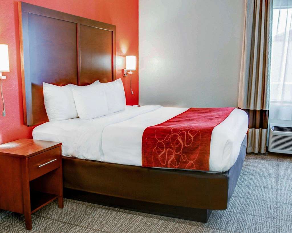 Comfort Suites Tyler South - photo 14