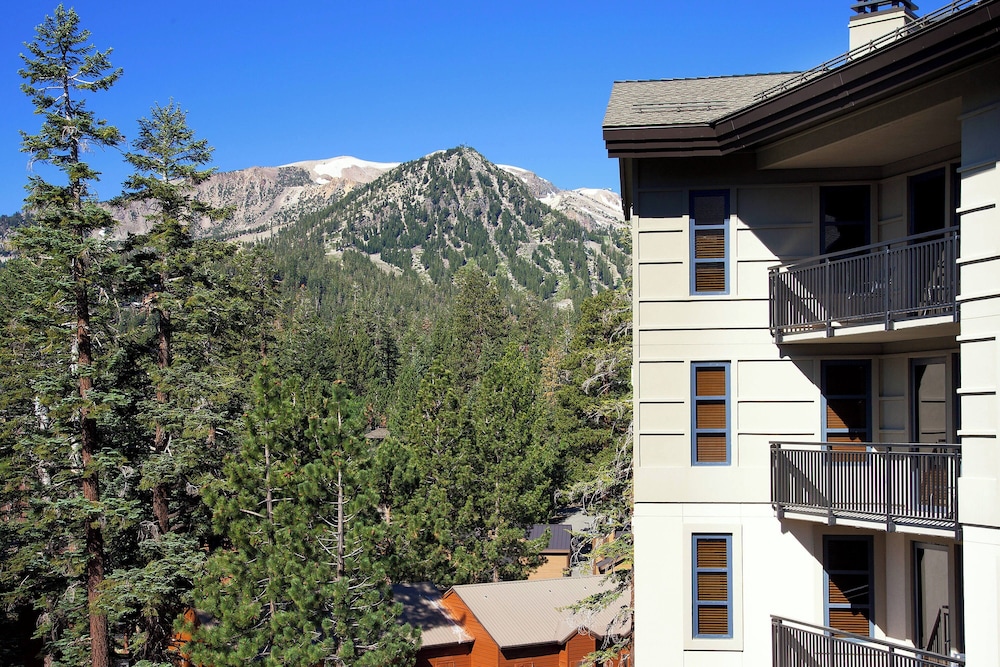 The Westin Monache Resort Mammoth - photo 54