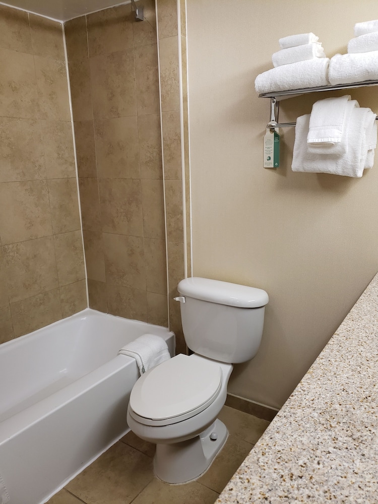 Wyndham Garden Dover - photo 14