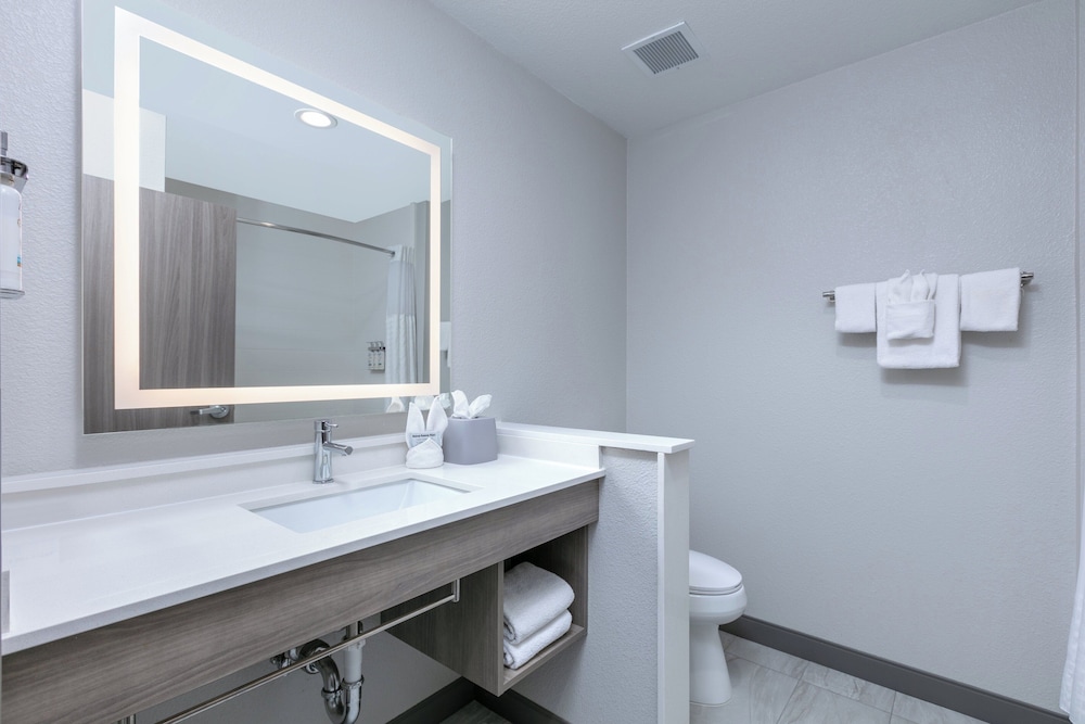 Holiday Inn Express & Suites Dallas Plano North by IHG - photo 21