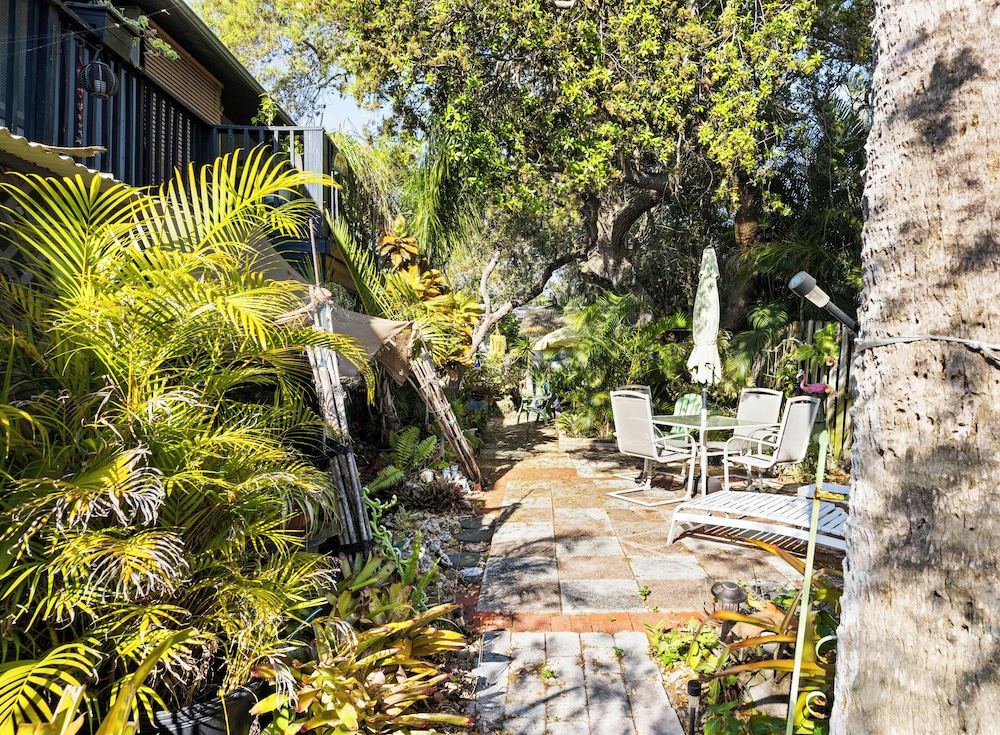 Palm View - photo 3