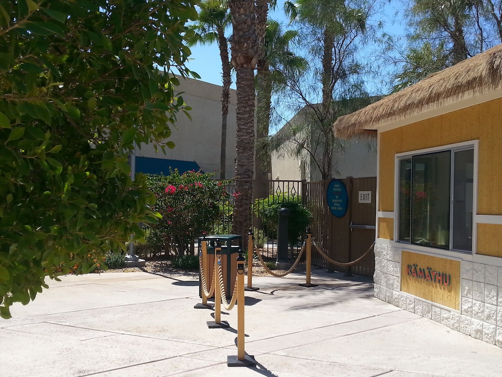 Avi Resort & Casino - photo 10