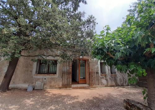 Le Grand Saint Mitre in Saint-Maximin-La-Sainte-Baume, France