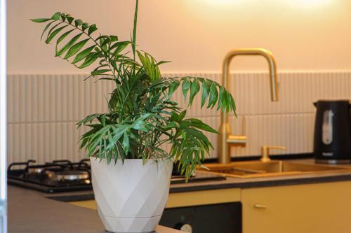 Modern Central Apt Near Stamba By Wehost