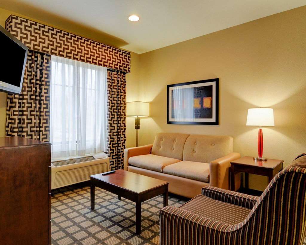 Comfort Inn & Suites Fort Smith I 540 - photo 46
