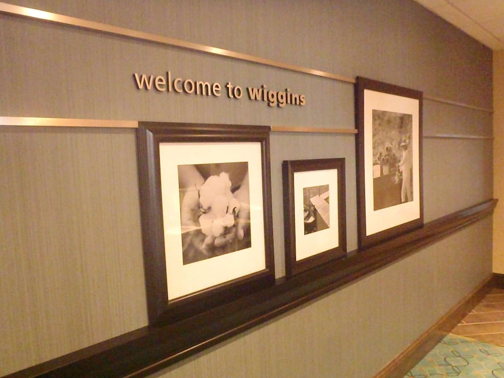 Hampton Inn & Suites Wiggins - photo 45