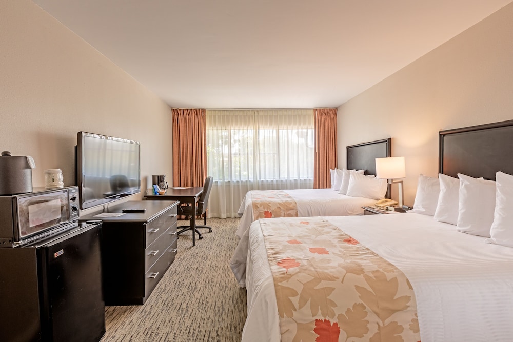 Hawthorn Suites By Wyndham Arlington Dfw South - photo 13