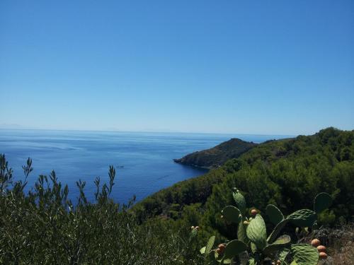 Casa Nicoletta 15296109 — Ustica