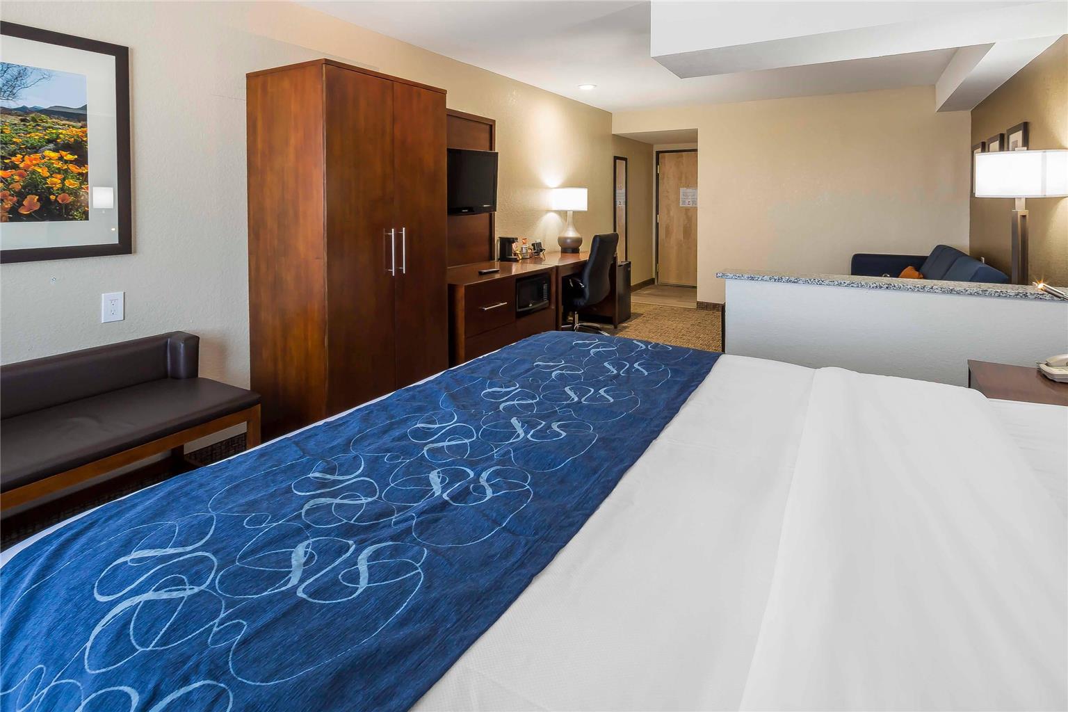 Comfort Suites El Paso Airport - photo 13