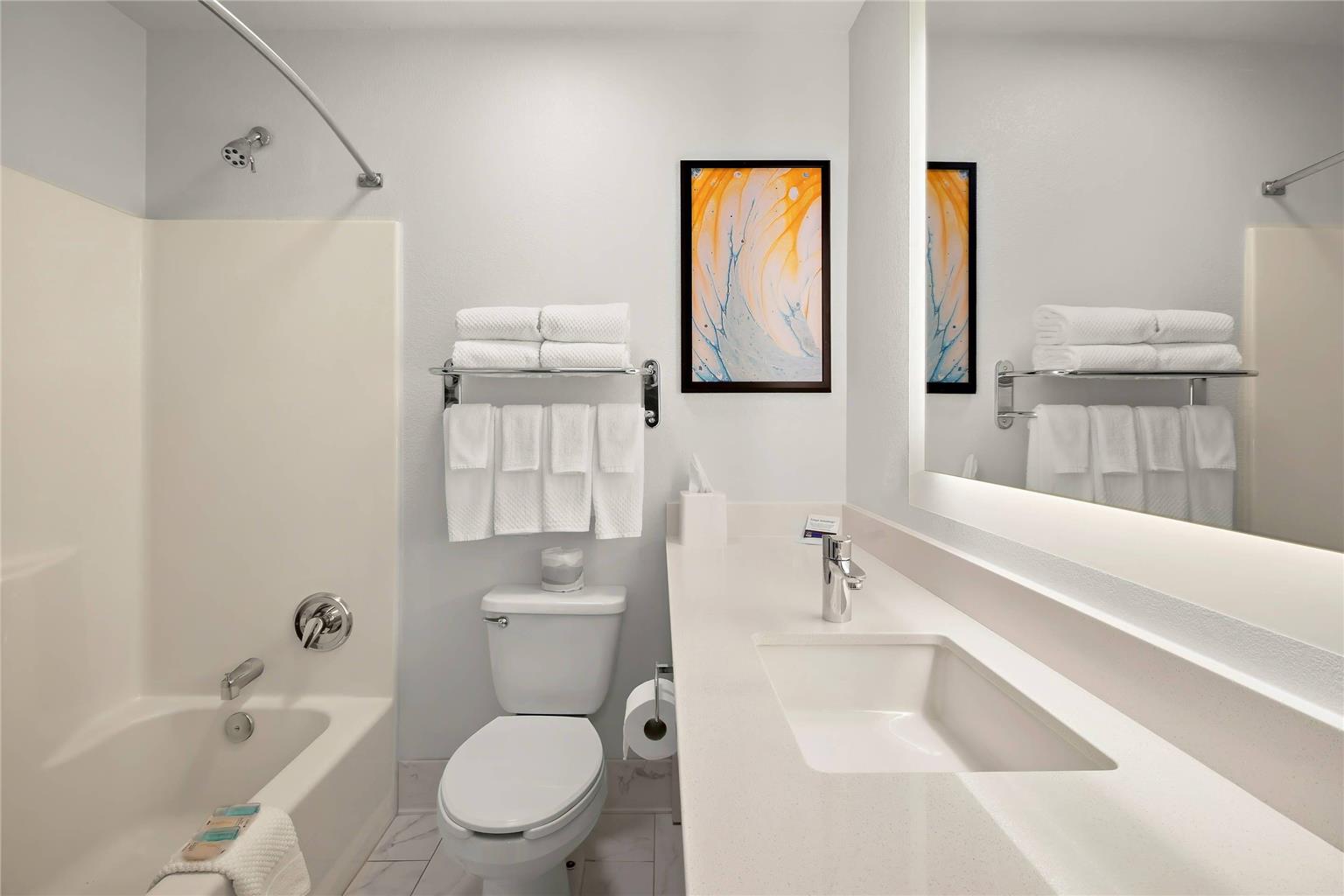 MainStay Suites Greensboro - photo 11