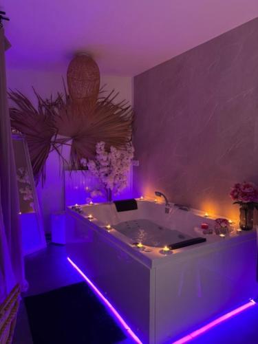 Bali SPA Detente a Deux a 5 Minutes de Tours Centre in Tours, France