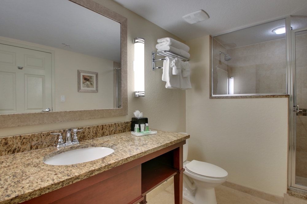 Holiday Inn Resort Orlando Lake Buena Vista by IHG - photo 43